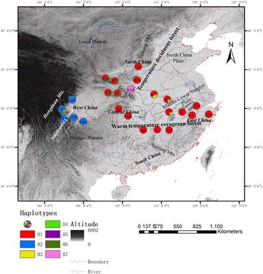 The Effects of Climate Change on Landscape Connectivity and Genetic Clusters in a Small Subtropical and Warm-Temperate Tree